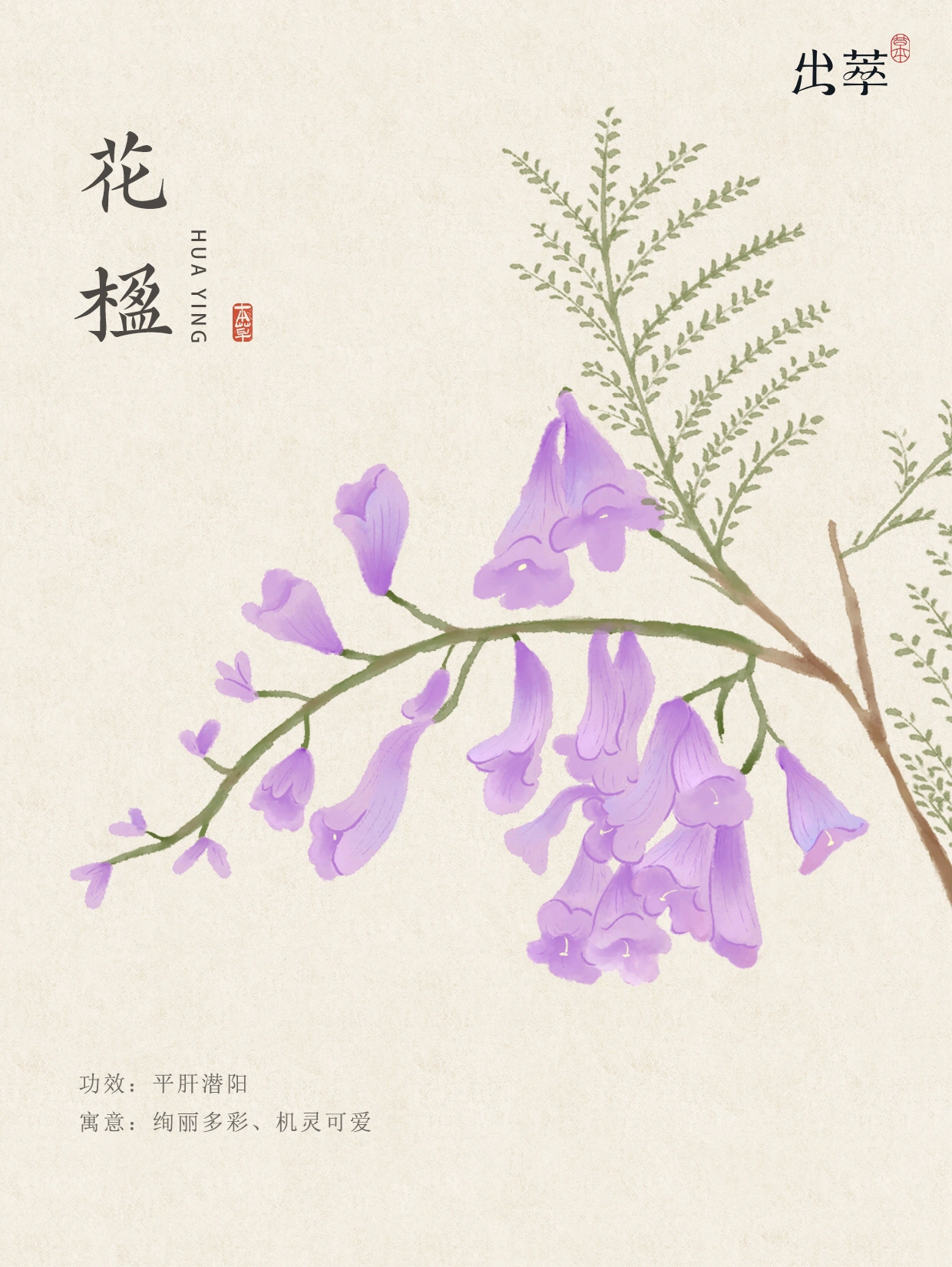 诗意满满的中草药名,超好听!