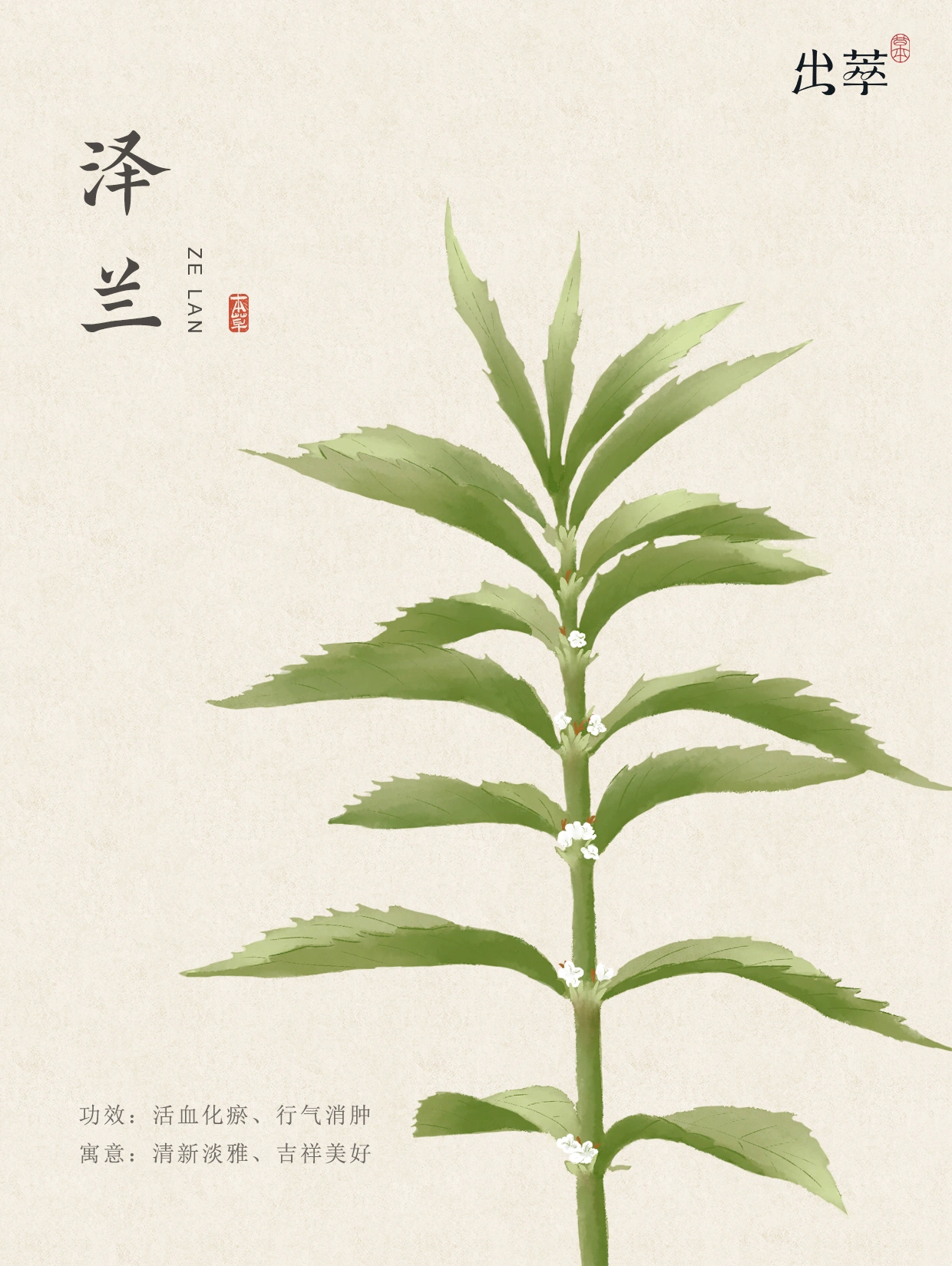 诗意满满的中草药名,超好听!