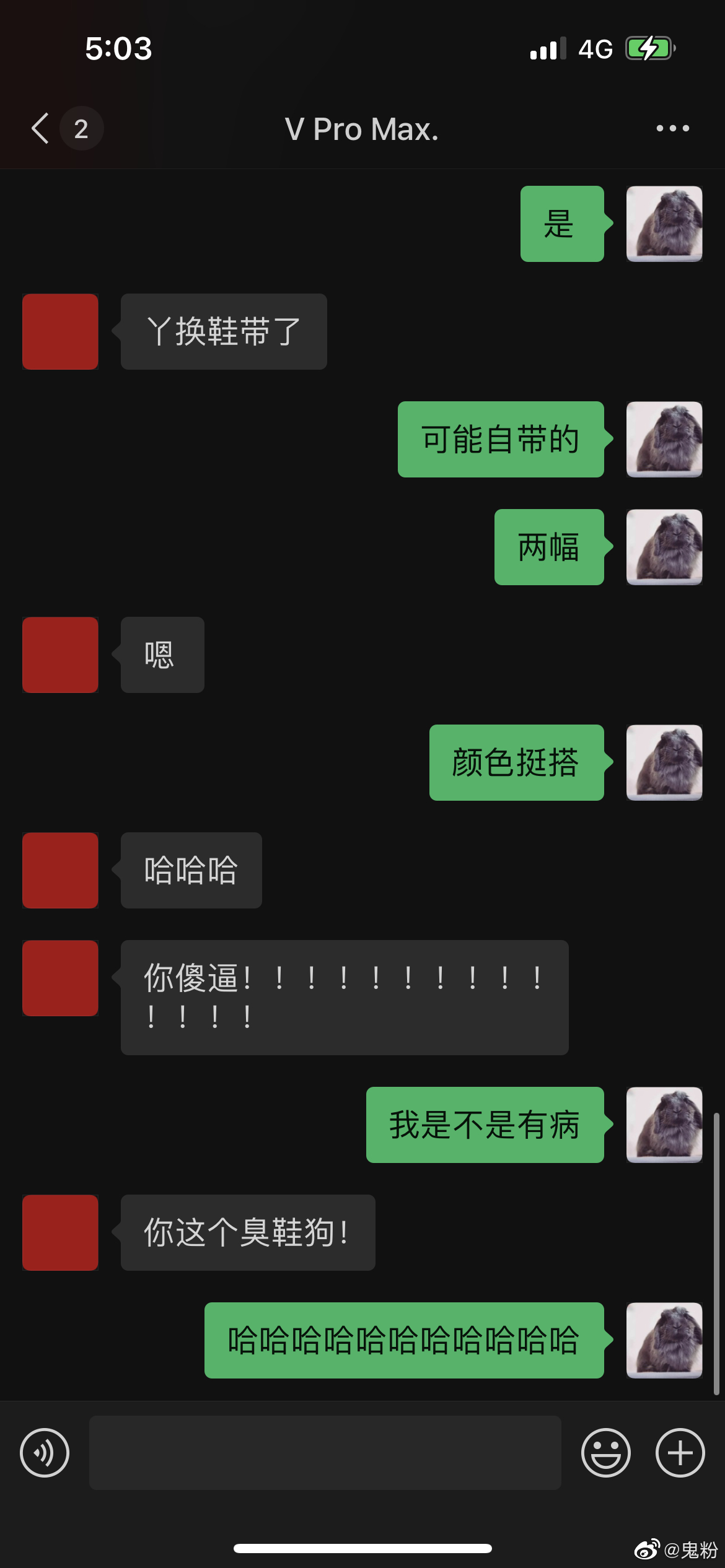 被@thevvvn 骂傻逼