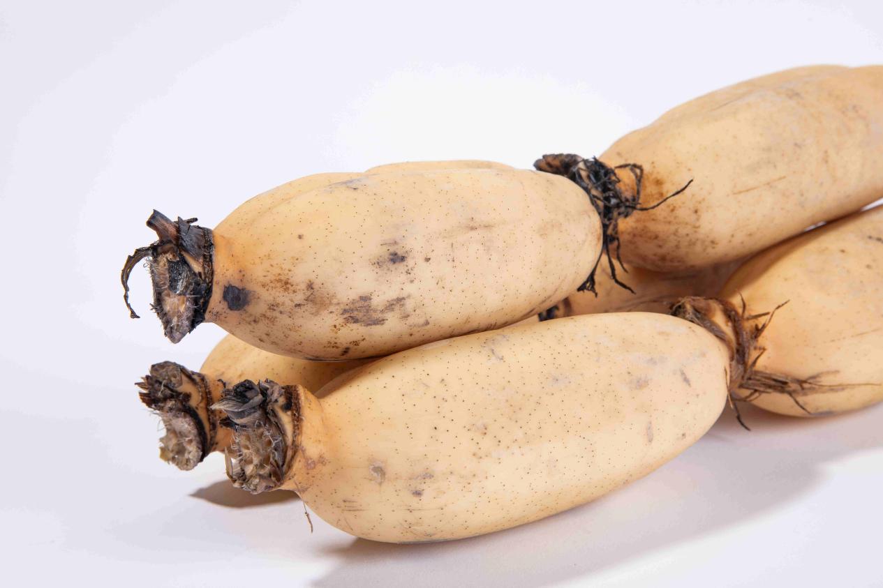 柳江莲藕藕白玲珑玉始觉甘如饴