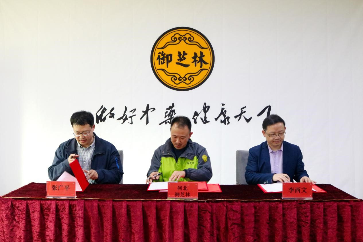 御芝林中国中医科学院中药研究所项目合作交流会暨科研顾问聘任仪式