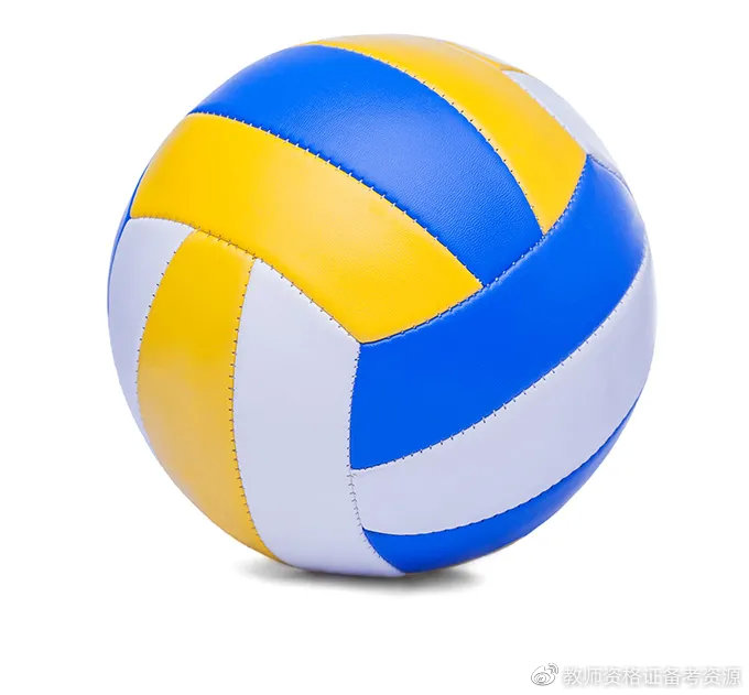 【高频考点】体育常考知识点:排球|排球_新浪新闻