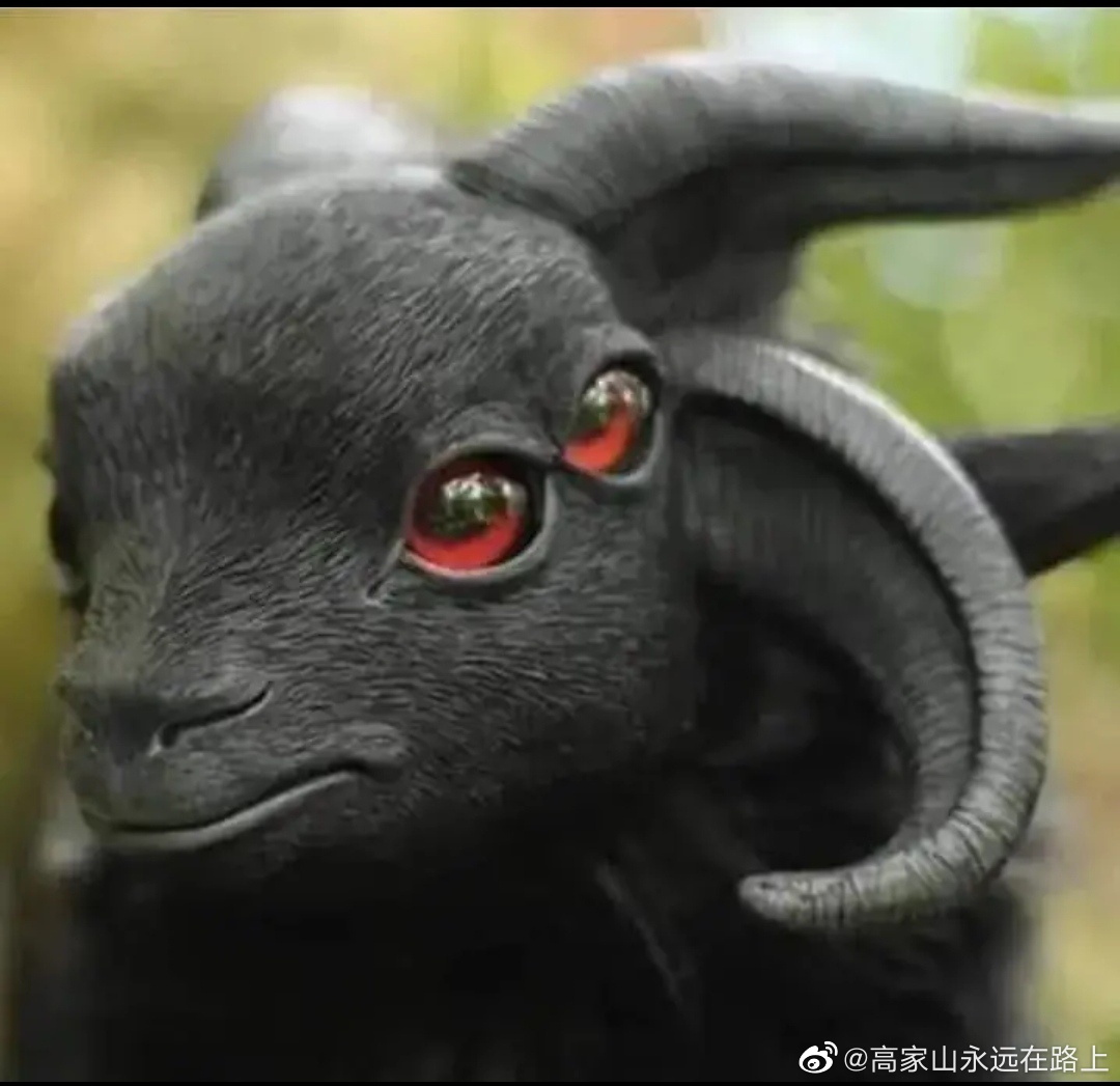 这是羊吗眼睛长四个羊角长四个在看看他的眼睛有点害怕