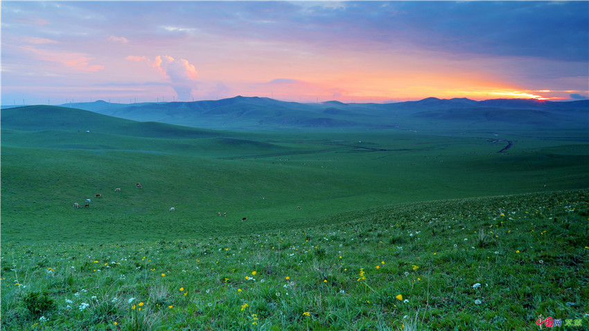 雨后扎鲁特现壮美云海奇观云雾缭绕美如画