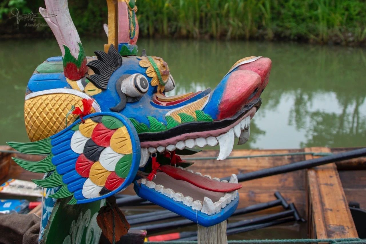 一年一度的西溪湿地龙舟盛会今年暂停了,怀念之