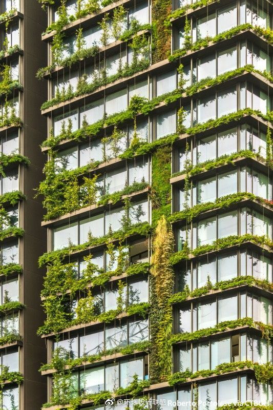 建筑设计丨垂直绿化