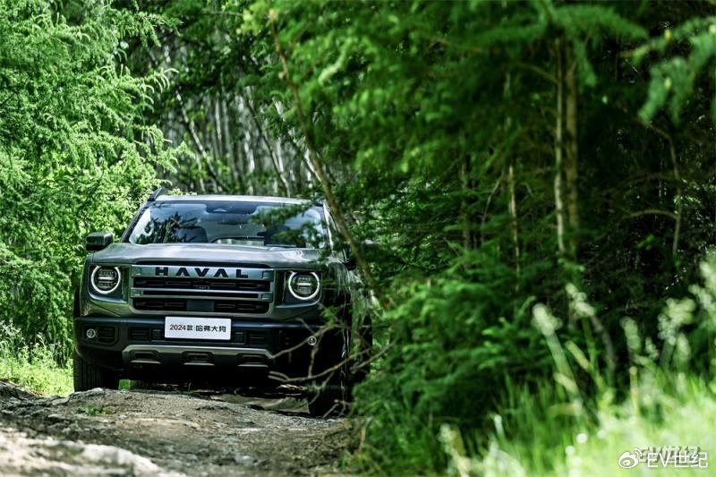 对话张福志哈弗狗品类如何领跑轻越野赛道