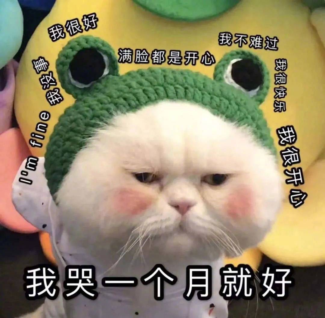 表情包我哭一个月就好拿图点赞吱声