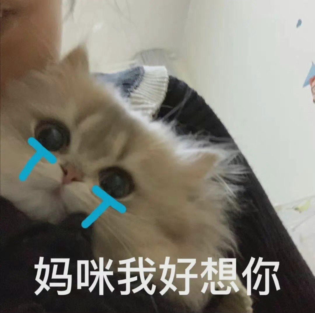 分享妈宝表情包哈哈哈哈哈哈哈