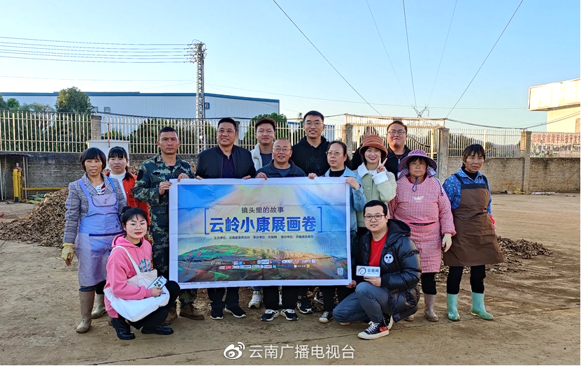 聚焦出口43个国家的罗平小黄姜云岭小康展画卷直播全网阅读过2亿