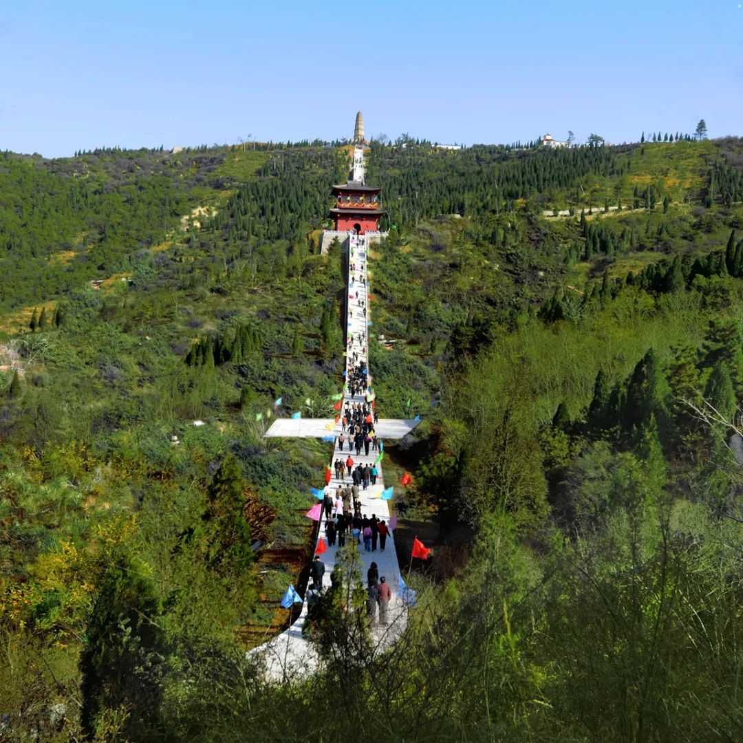 康养晋城魅力城区白马寺山樱花游