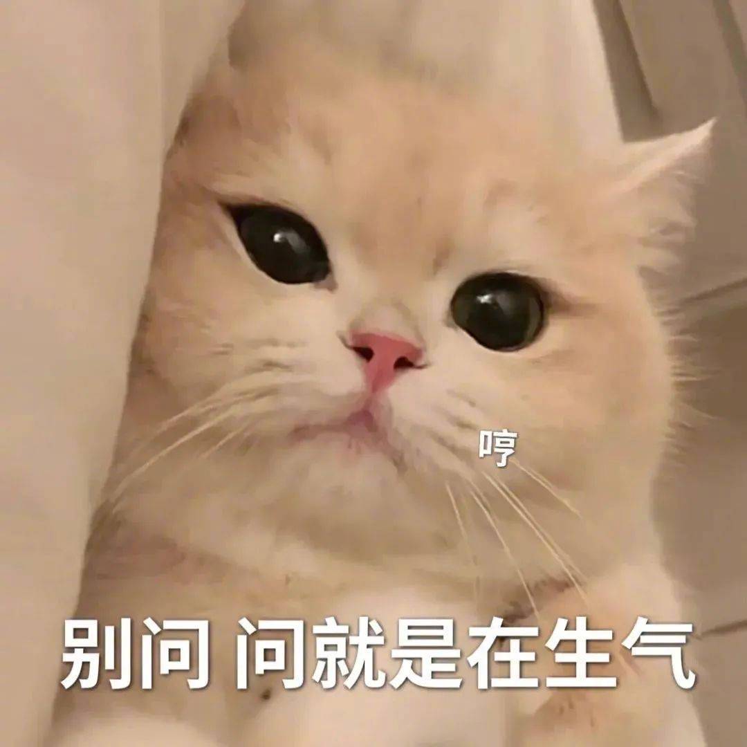 表情包 | 别问 问就是在生气 拿图点赞,吱声_高清图集_新浪网