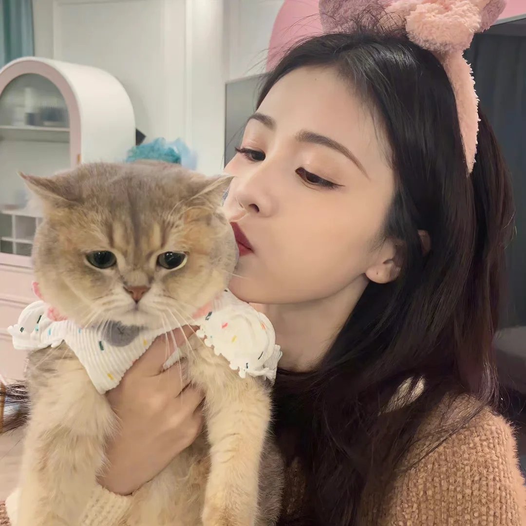 白鹿头像美颜暴击