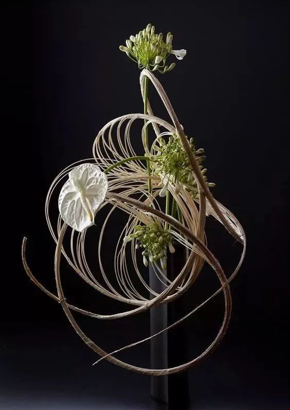 用线条表达花艺之美