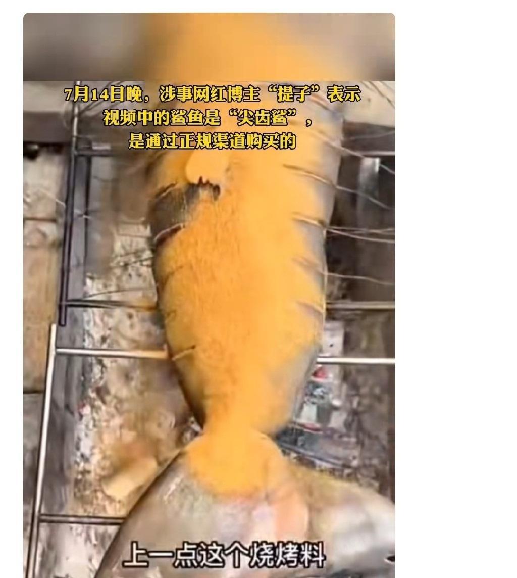 又一网红被封禁!网红博主“提子”烹食大白鲨或面临10年以上刑罚休闲区蓝鸢梦想 - Www.slyday.coM 又一网红被封禁!网红博主“提子”烹食大白鲨或面临10年以上刑罚休闲区蓝鸢梦想 - Www.slyday.coM