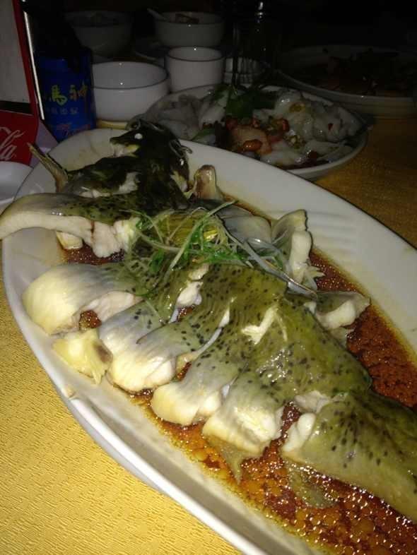 如今卖到580元一斤,却常被当成鲶鱼遭到嫌弃|剑鱼|芝麻|鲶鱼_新浪新闻