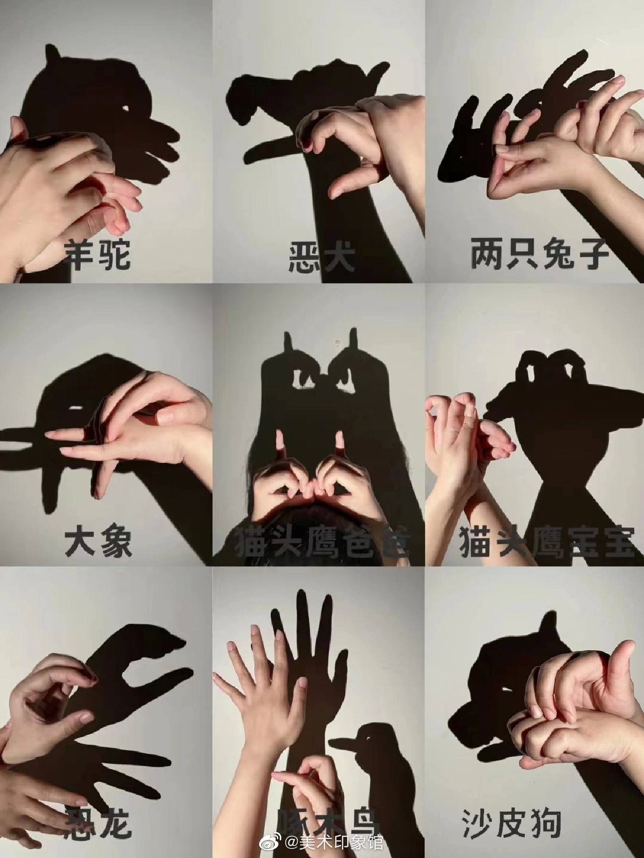 亲子游戏手影
