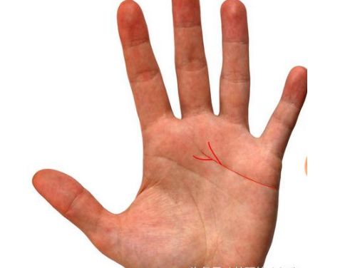 4种异性缘旺的手相你是烂桃花多还是正桃花旺