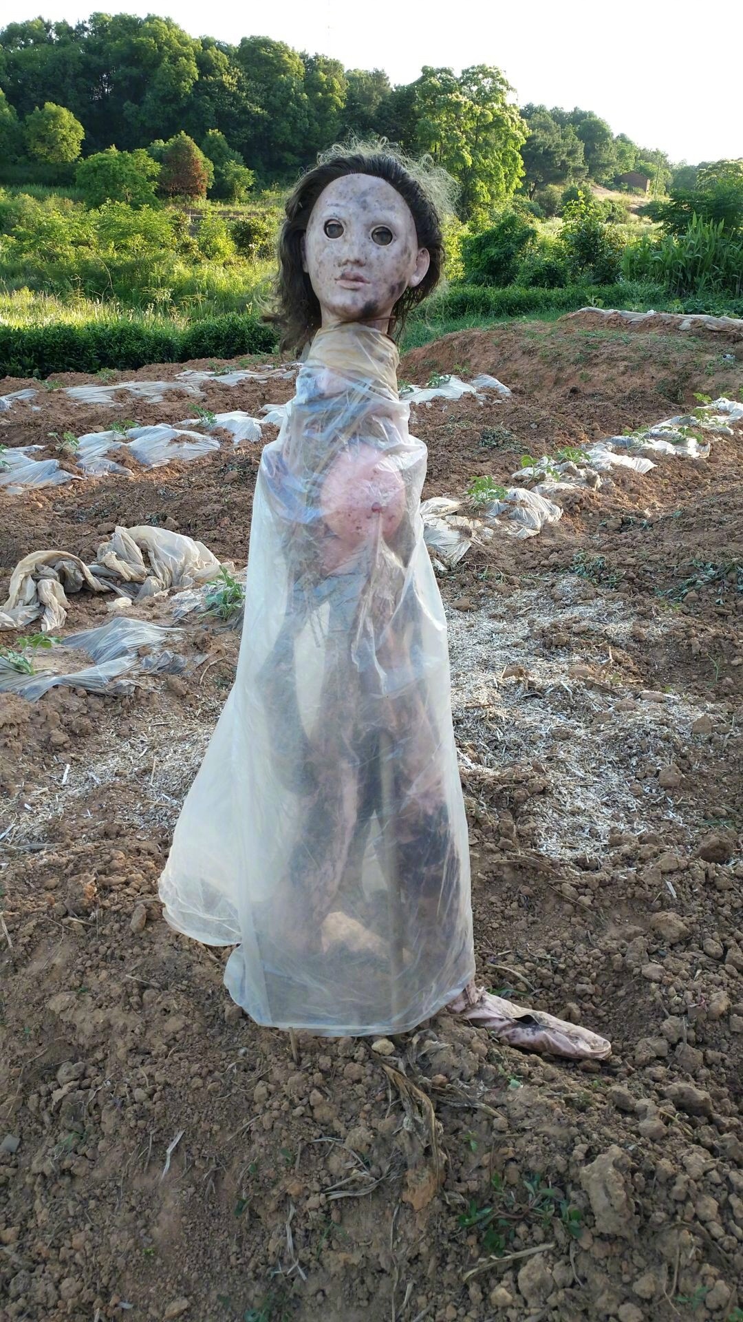 没想到你们是这样的稻草人最后那个别说鸟了鬼都给你吓跑了