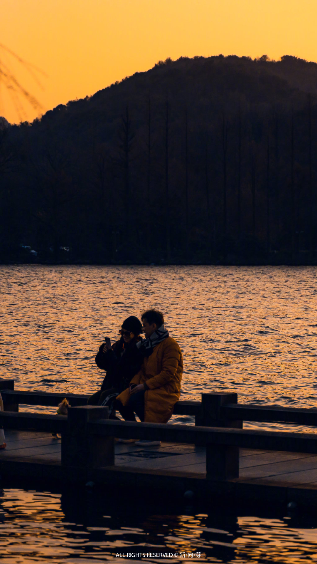 迷失森林游戏手机版