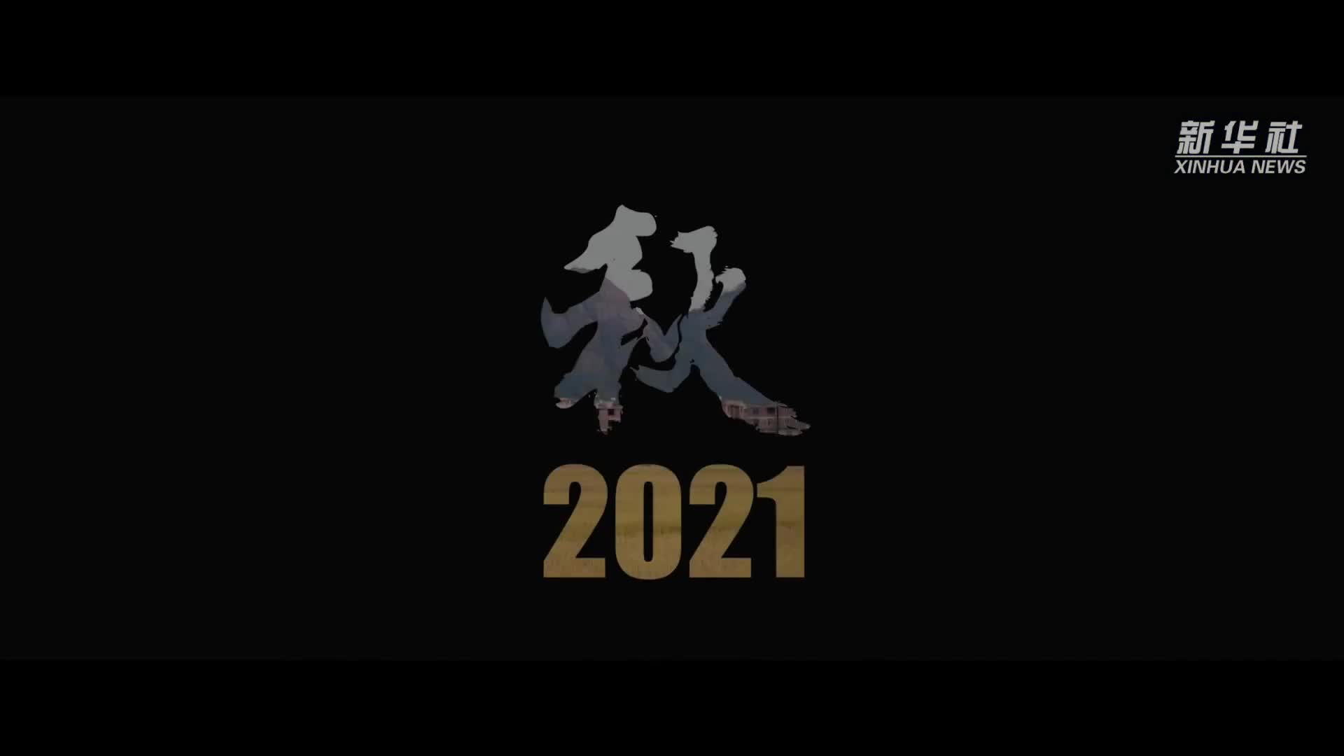 跨越2021  向更好的自己出发