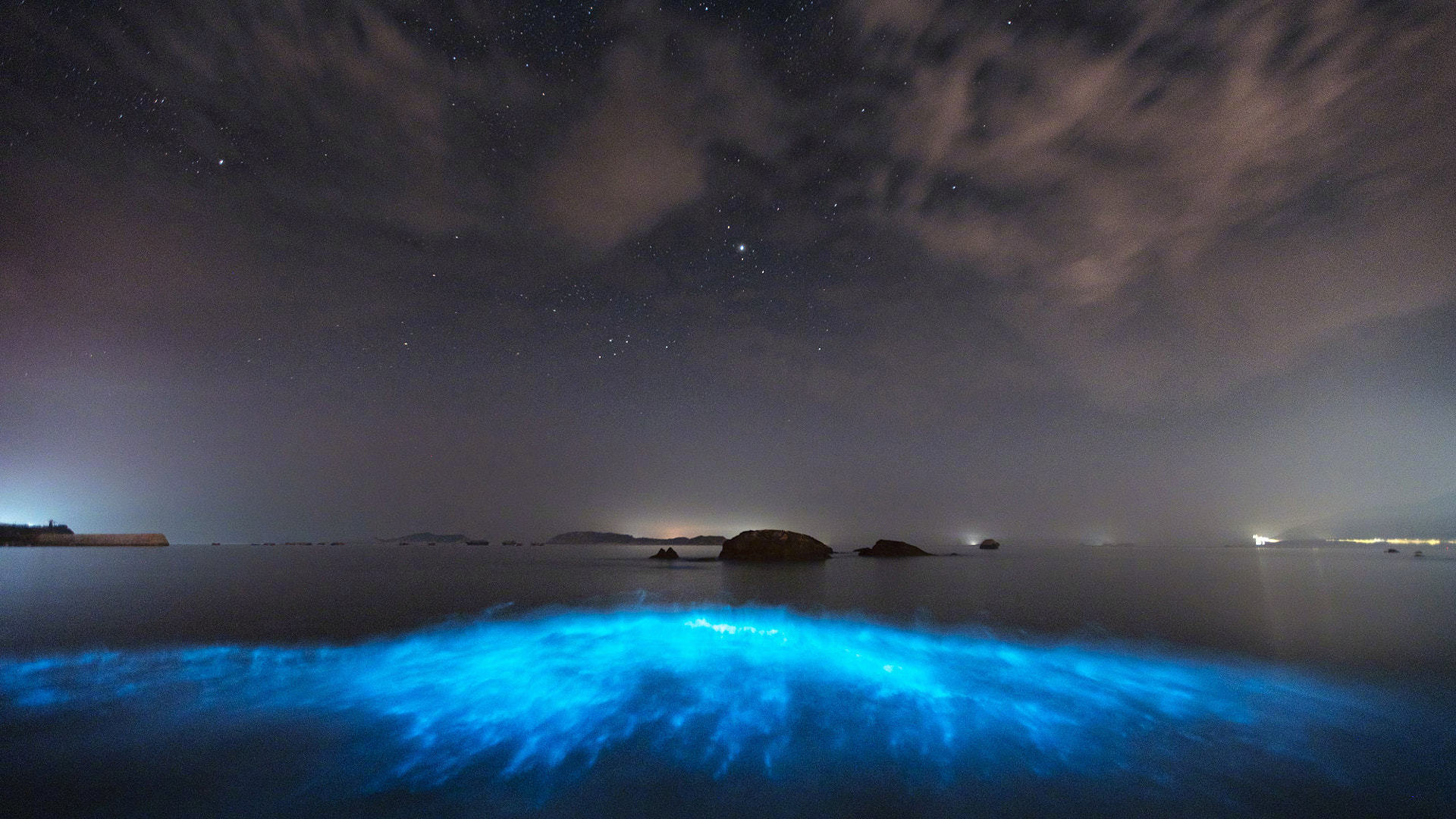 蓝眼泪,是福建平潭海域的一种生物,叫希氏弯喉海萤