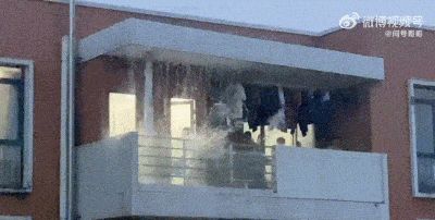 哈哈哈哈~下大雨坚持出门散步的柴犬和被震惊到的柯基!休闲区蓝鸢梦想 - Www.slyday.coM 哈哈哈哈~下大雨坚持出门散步的柴犬和被震惊到的柯基!休闲区蓝鸢梦想 - Www.slyday.coM