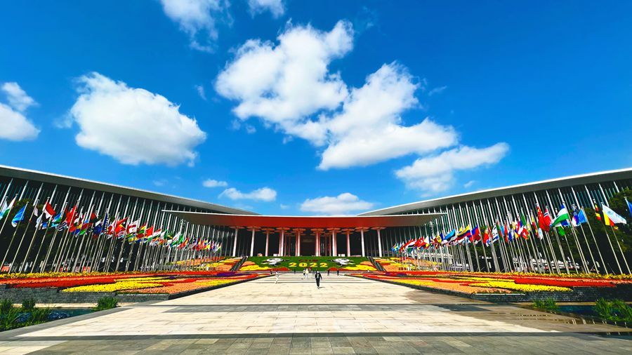 “聊城元素”闪耀第五届中国国际进口博览会休闲区蓝鸢梦想 - Www.slyday.coM “聊城元素”闪耀第五届中国国际进口博览会休闲区蓝鸢梦想 - Www.slyday.coM