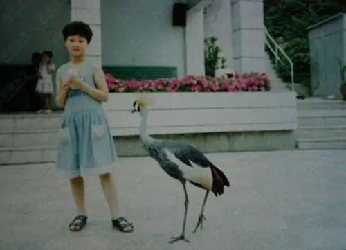 张常宁的故事：因长得漂亮被批评，女排唯一拍成人杂志的运动员休闲区蓝鸢梦想 - Www.slyday.coM