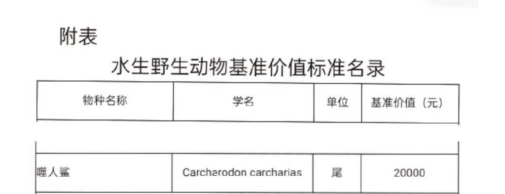 又一网红被封禁!网红博主“提子”烹食大白鲨或面临10年以上刑罚休闲区蓝鸢梦想 - Www.slyday.coM 又一网红被封禁!网红博主“提子”烹食大白鲨或面临10年以上刑罚休闲区蓝鸢梦想 - Www.slyday.coM