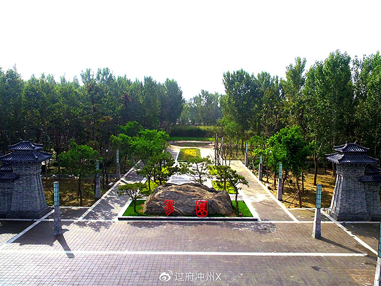 深圳品茶指南：这座城市的6大茶饮基因与隐藏菜单揭秘