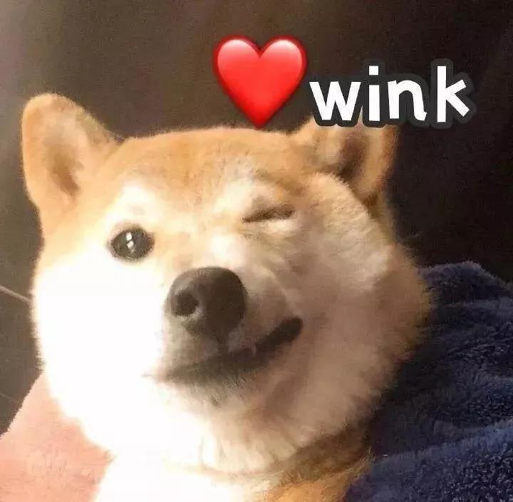 有一只可爱的小狗对我wink这一天都会很开心的好吗