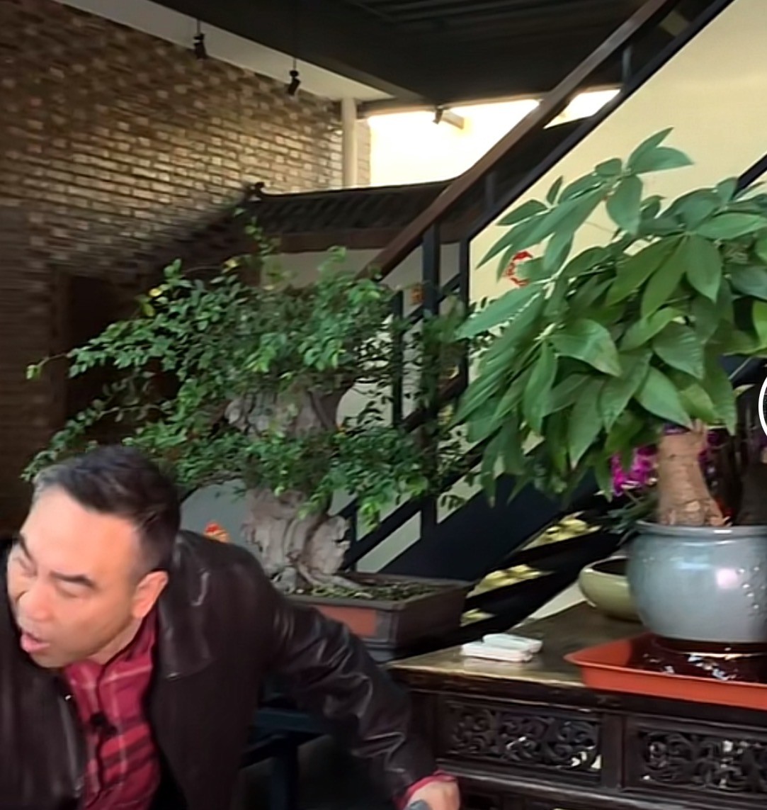 杨议带杨少华兜风,豪宅大到直接在客厅骑摩托,娱乐圈隐形富豪?