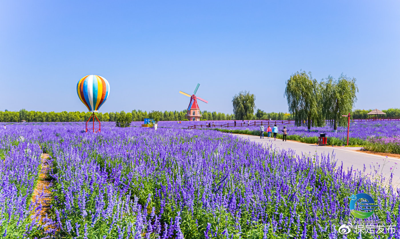 保定安国以数字中药都为核心 130亿打造"城市客厅"|保定|安国市_新浪