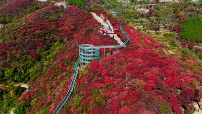 秋天美成童话秘境!淄博这些“赏红叶”宝藏地,我也就心动了999次吧~休闲区蓝鸢梦想 - Www.slyday.coM 秋天美成童话秘境!淄博这些“赏红叶”宝藏地,我也就心动了999次吧~休闲区蓝鸢梦想 - Www.slyday.coM