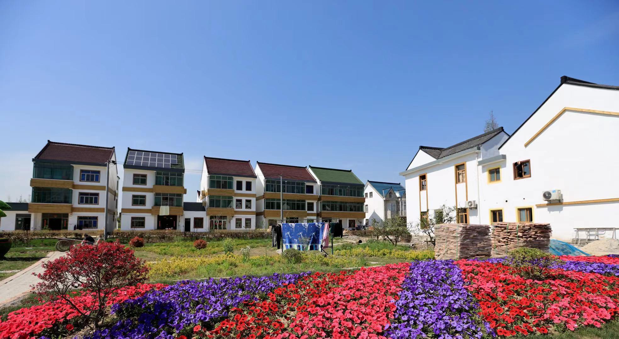 风景如画喜丰收,亭林镇举办"五彩稻田节"暨"亭林人民看亭林"活动|亭林