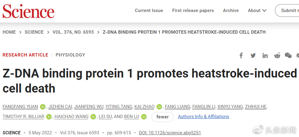 没有开玩笑，人真的会被“热死”休闲区蓝鸢梦想 - Www.slyday.coM