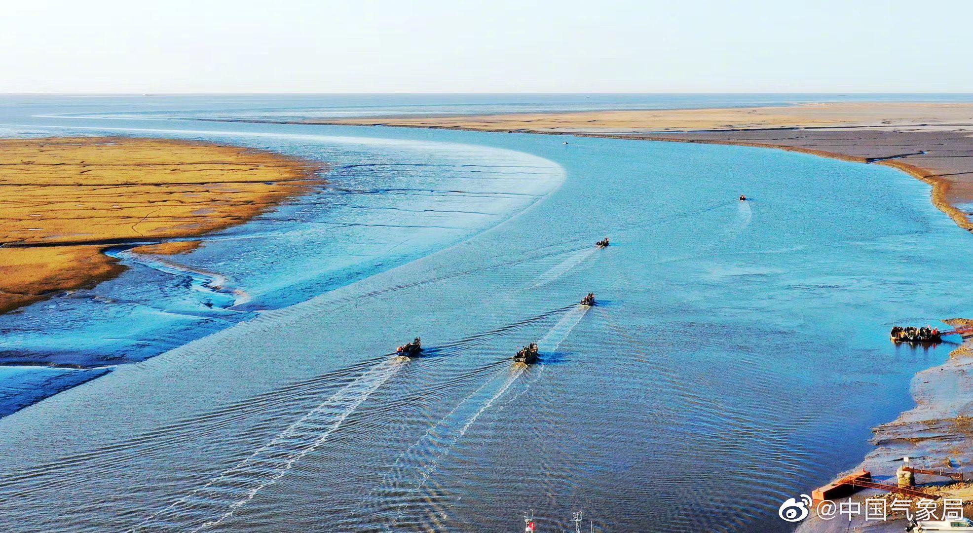 辽宁盘锦的辽河口湿地太美啦~~~动物们都出来了(图:李红梅)
