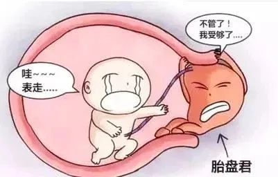 寿光市中医医院休闲区蓝鸢梦想 - Www.slyday.coM 寿光市中医医院休闲区蓝鸢梦想 - Www.slyday.coM