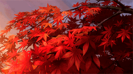 剧情简介饰 文母蔡金敏饰 七王李硕征饰 姜华李逢迅其他演员饰 翠霞邓