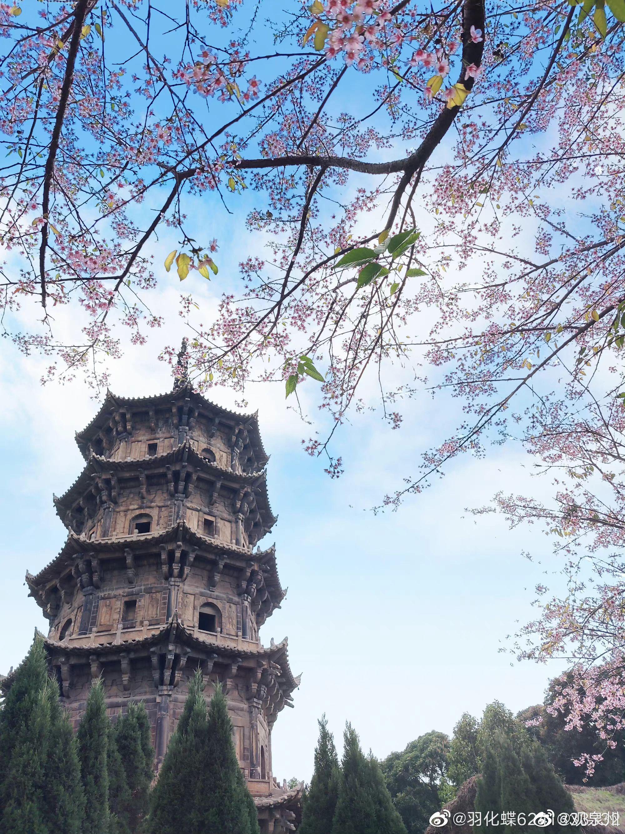 春节逛逛泉州古城看看泉州东西塔……_高清图集_新浪网