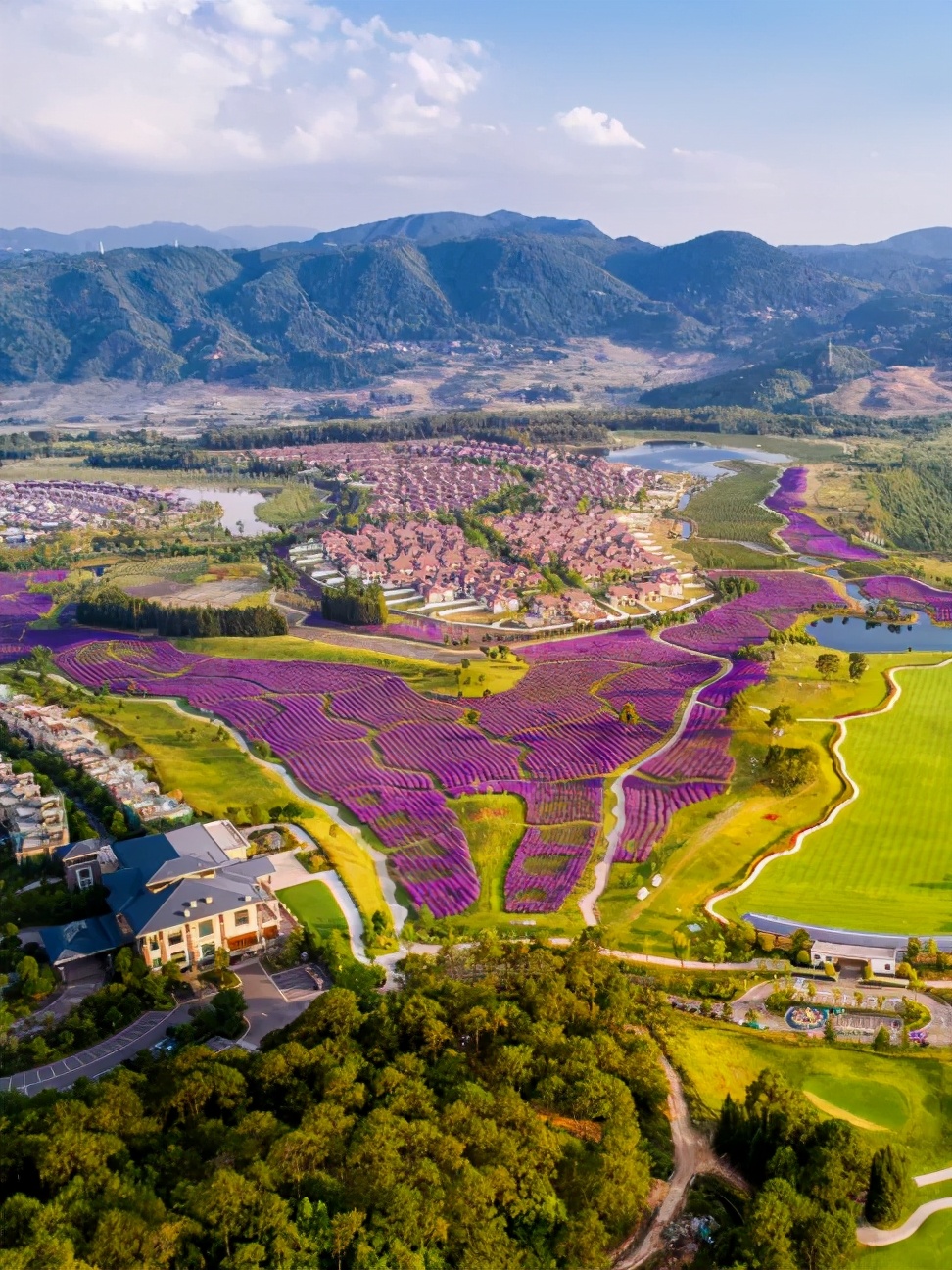 暑假模式开启!腾冲原乡栖花岭景区学生免门票