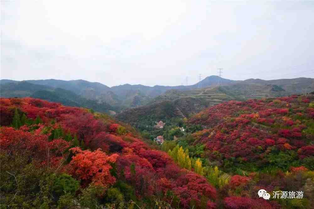 秋天美成童话秘境!淄博这些“赏红叶”宝藏地,我也就心动了999次吧~休闲区蓝鸢梦想 - Www.slyday.coM 秋天美成童话秘境!淄博这些“赏红叶”宝藏地,我也就心动了999次吧~休闲区蓝鸢梦想 - Www.slyday.coM