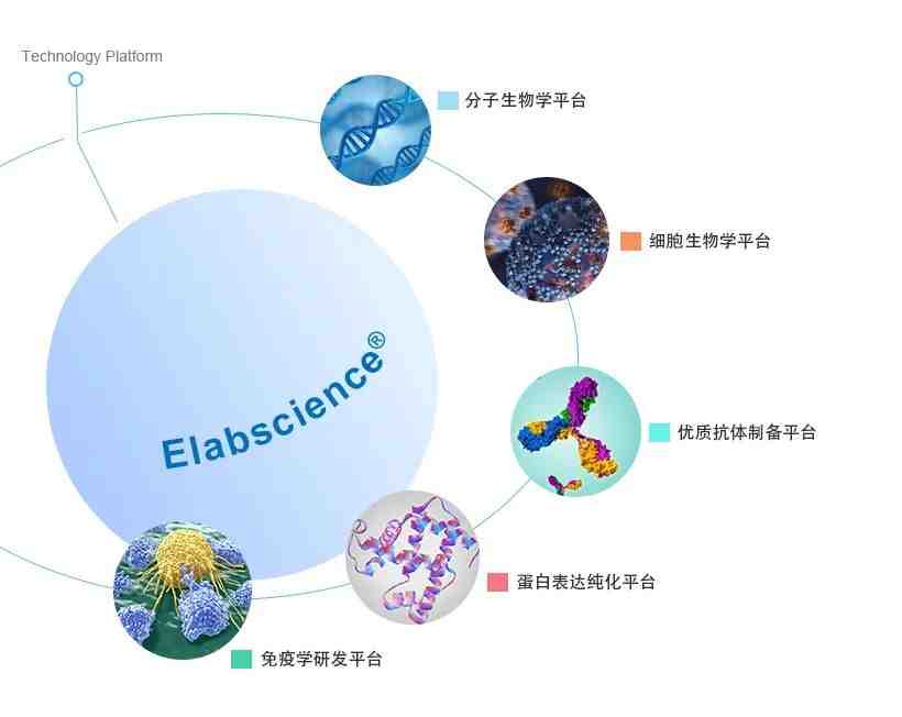 伊莱瑞特冷毅斌:在急躁的时代里敬天爱人,在繁杂的诱惑中知行合一__财经头条