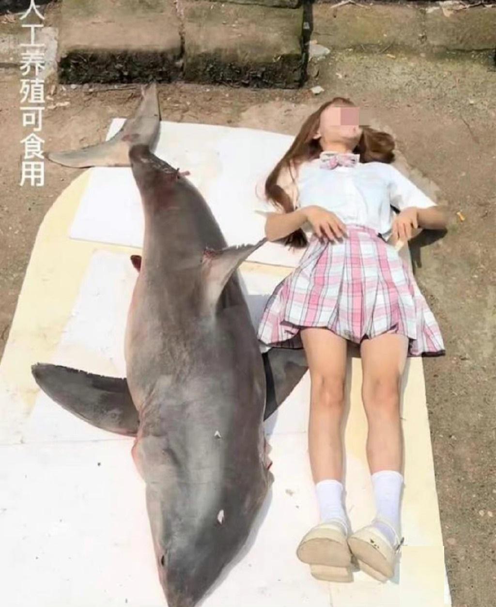 又一网红被封禁!网红博主“提子”烹食大白鲨或面临10年以上刑罚休闲区蓝鸢梦想 - Www.slyday.coM 又一网红被封禁!网红博主“提子”烹食大白鲨或面临10年以上刑罚休闲区蓝鸢梦想 - Www.slyday.coM