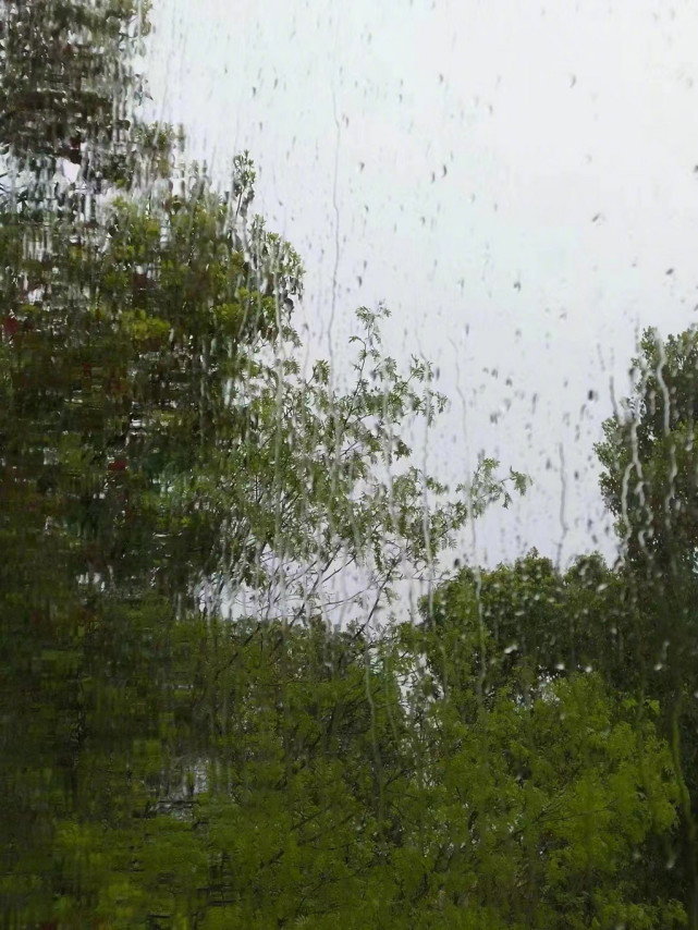 “双非”本科生的漫长毕业季：考研受挫、春招失败、国考失之交臂休闲区蓝鸢梦想 - Www.slyday.coM