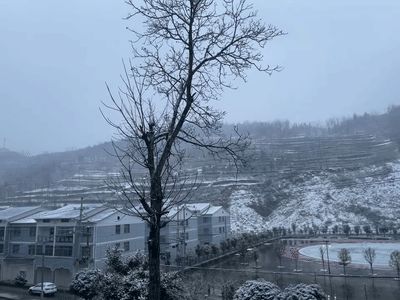 湖北多地下雪了！应急响应升至三级，暴雪黄色预警发布休闲区蓝鸢梦想 - Www.slyday.coM