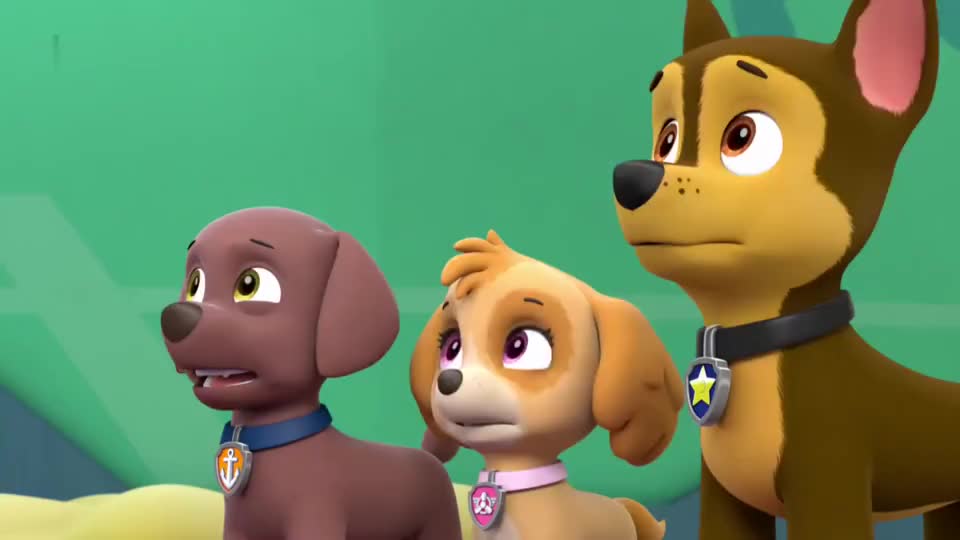 汪汪队古薇市长的一身装扮真可爱一身羽毛像极了咕咕鸡