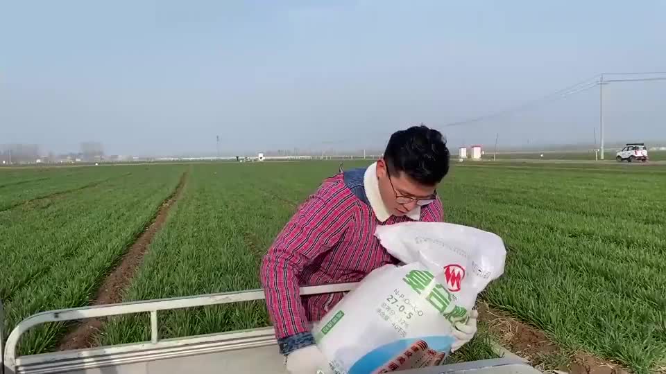 农村小伙替妈妈浇地撒肥料小涛承担家里重任祖孙3代一起干活