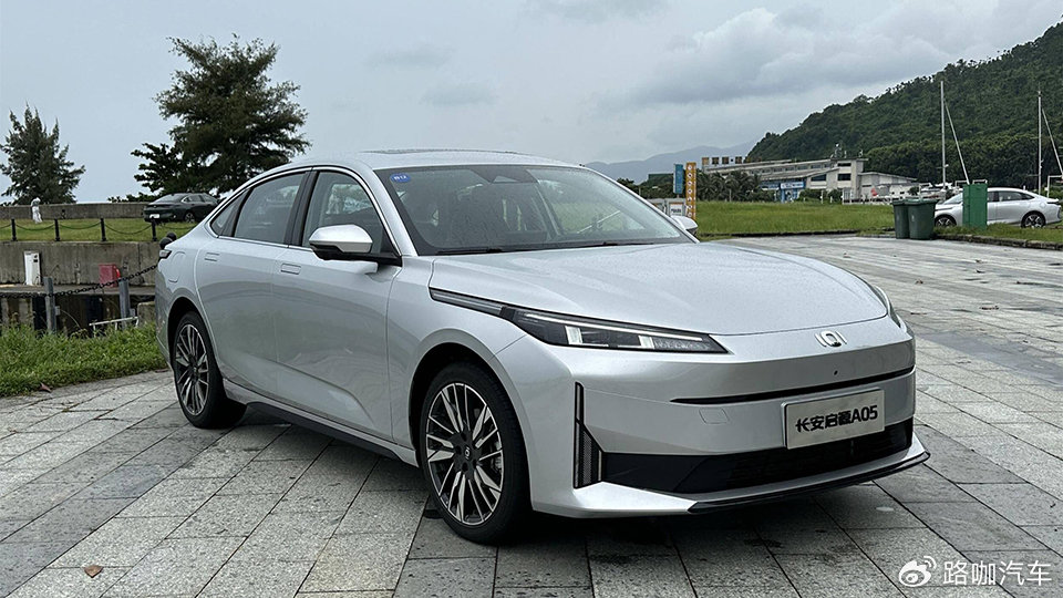 2月销量负增长,增速被插混超过的纯电,怎么办-新浪汽车